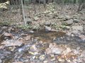 DSCN2633