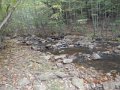 DSCN2636