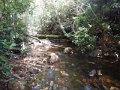 DSCN2651