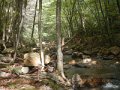 DSCN2659