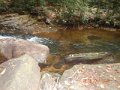 DSCN2667