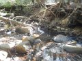 DSCN2678