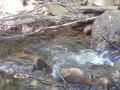 DSCN2685