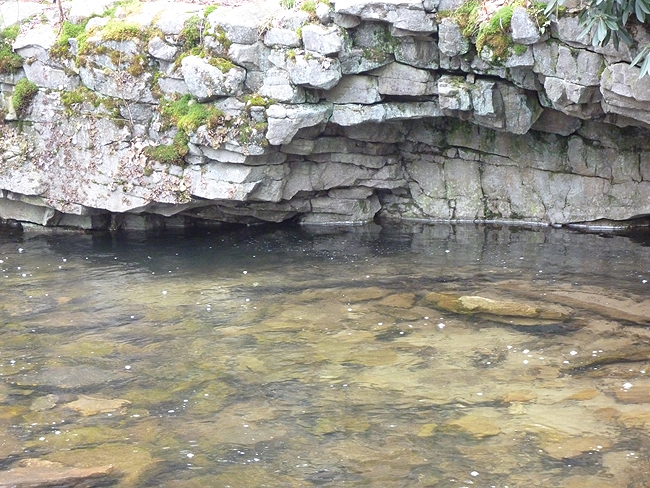 P1000676001.jpg - Sand Spring Run 3
