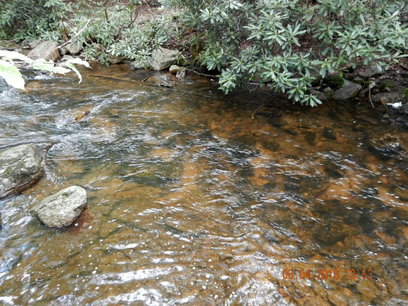 -HIckory-001-.jpg - Gin clear water but because of the flow, most of the stream surface was broken which hid our approaches.