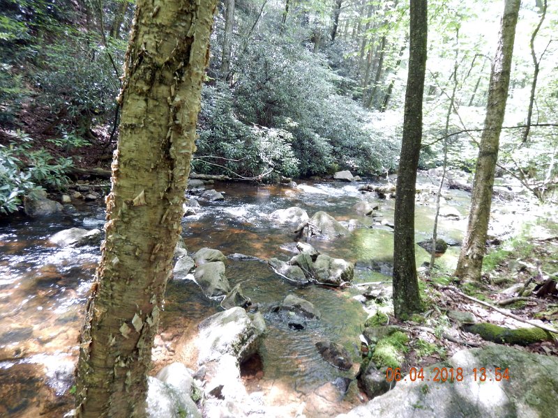-HIckory-003-.jpg - I keep coming back to this stream...any wonder?