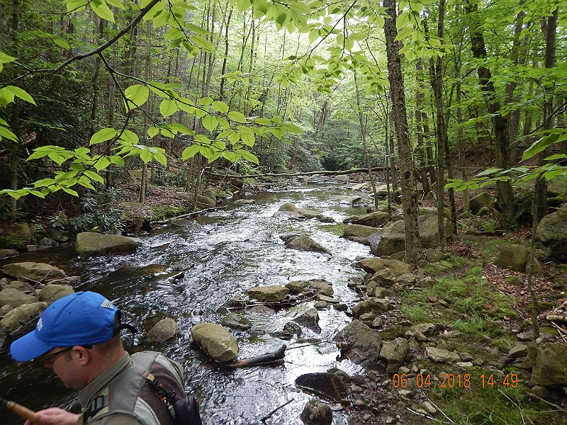 -HIckory-015-.jpg - Pick your spot...there's the possibility of a fish in any one of them.
