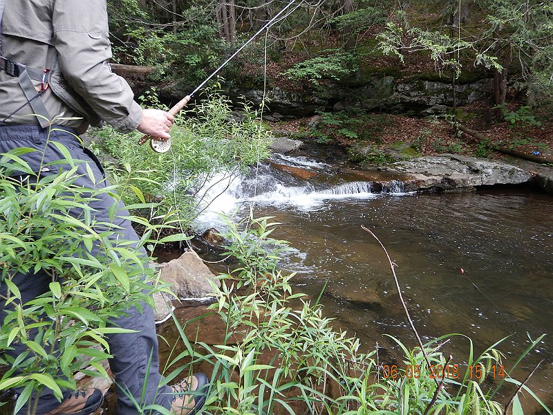 -HIckory-024-.jpg - We had to hike this stream so we left the waders in the car.  It was a handicap.