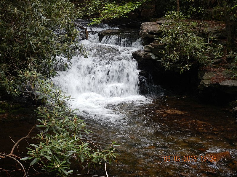 -HIckory-029-.jpg - Still on Sand Spring Run.  Beautiful.