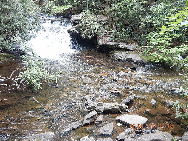 -HIckory-030-.jpg - You'd think there'd be more wild fish in this stream.  Perhaps there are but we only got a few.