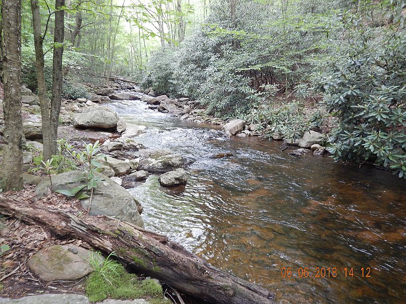 -HIckory-051-.jpg - Have to say, I did pretty well but with a stream like this it wasn't all that difficult.  Fished dry flies most of the afternoon.