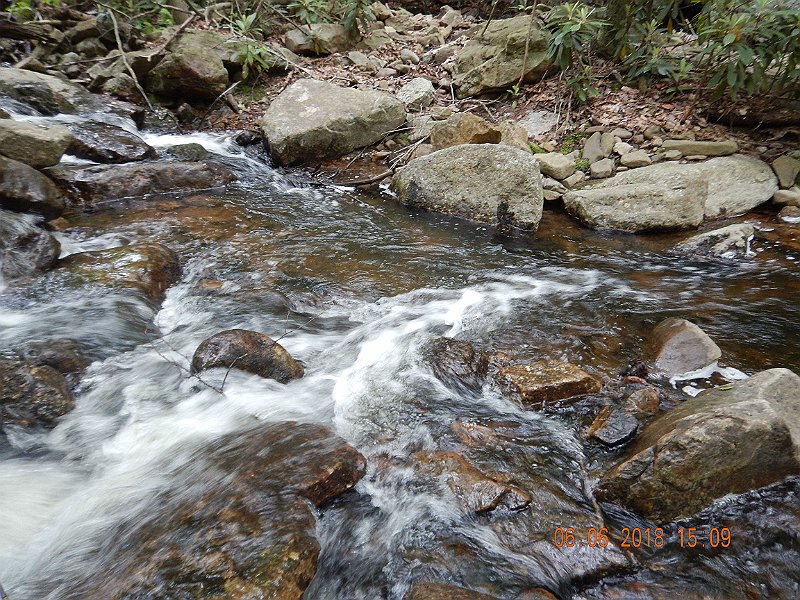 -HIckory-057-.jpg - He was living at the base of the rock at the far side of the stream.