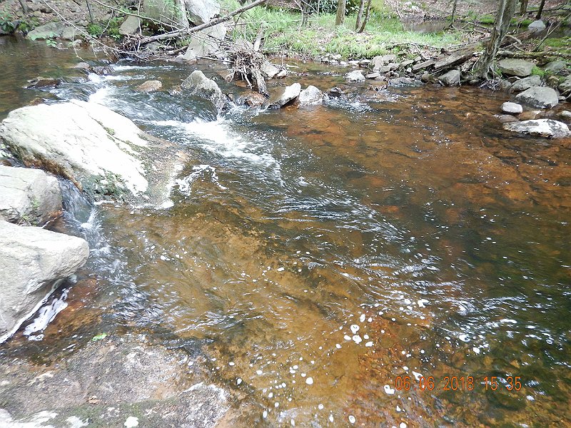 -HIckory-066-.jpg - Easy to see why a fish would live here.