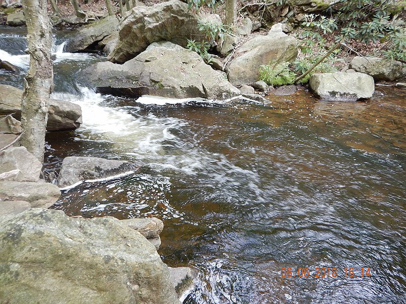 -HIckory-070-.jpg - Here's where that fish came from.