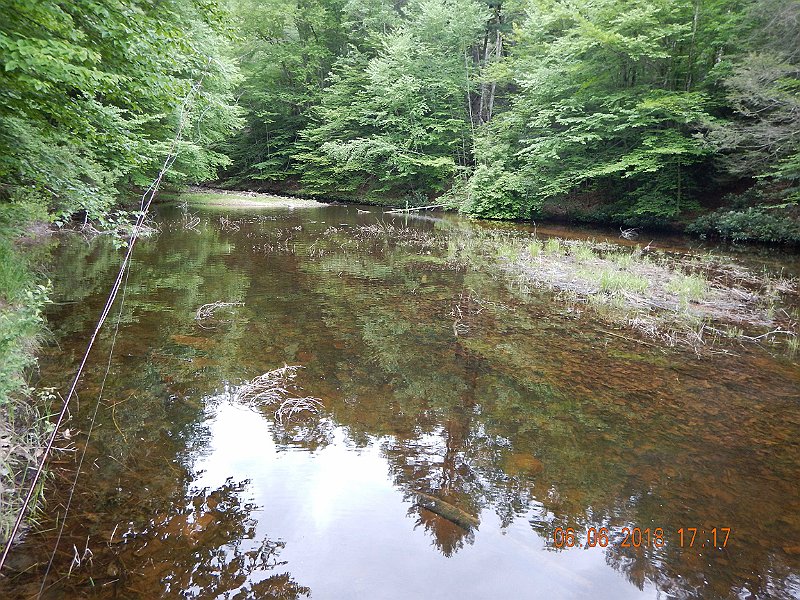-HIckory-072-.jpg - Here's the pond.  It is not supposed to be stocked but it is so easy to get to I can't believe they didn't drop one or two stockers in here.