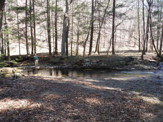 DSCF9188.jpg - Nice long, deep pool but, no fish.  Probably too close to Horse Valley.  We went a couple of yards up Kansas Valley and the stream was filled with Brookies!