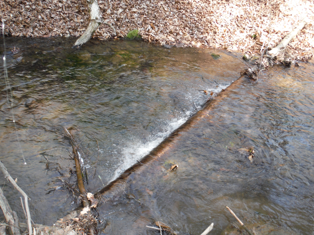 DSCF9191.jpg - Kansas Valley has pockets and pools that hold trout.  This is one example.