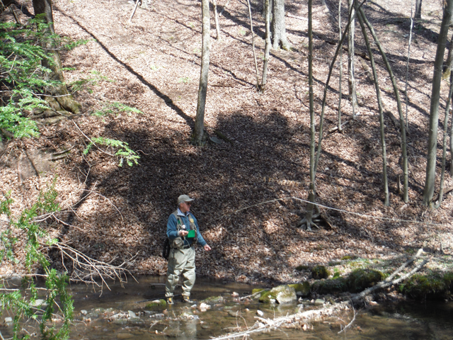 DSCF9193.jpg - Letting go with a 30' cast.  A rarity in streams this small.
