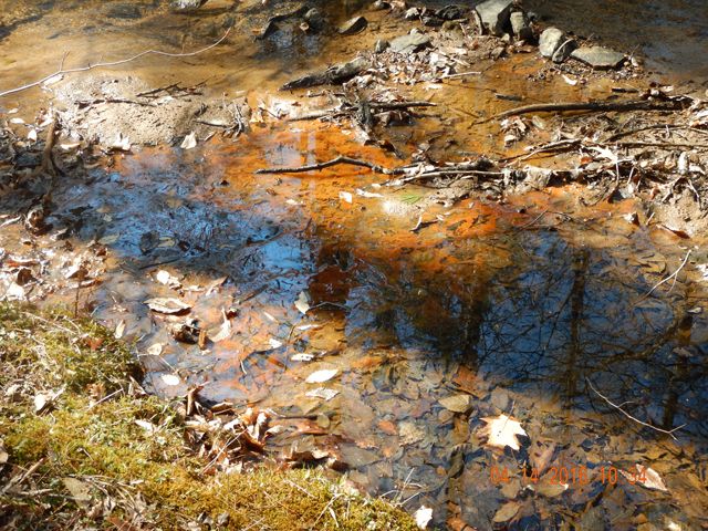 DSCN1056.jpg -                                The sides of the stream showed what appeared to be polution.  Tanic colored algae with an oil coating on the water seems to point to polution of some sort.