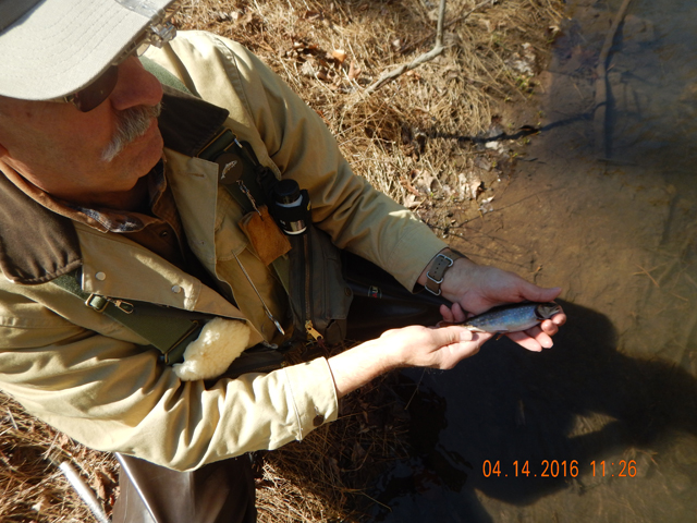 DSCN1063.jpg -                               And a pretty fish it was.