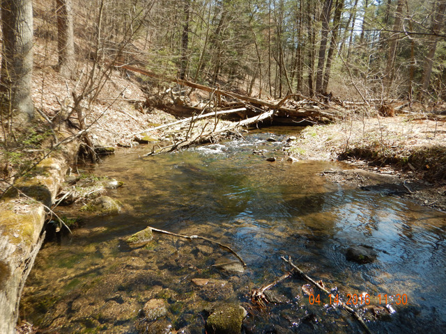 DSCN1066.jpg -                                Here is where that last fish was living. Amazing water.