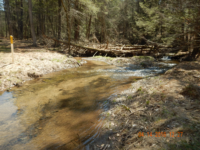 DSCN1076.jpg -                                This little run was responsible for about 7 or 8 fish and at least that many misses. 
