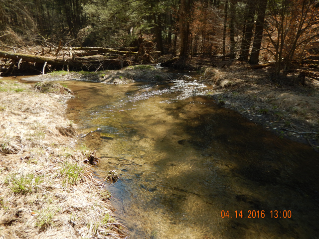 DSCN1080.jpg -                                And, around the next bend is a hole more inviting that the one you just left.