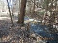 DSCN1060