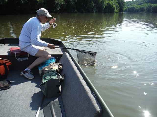 DSCF9659.jpg - Here I am landing a bass.  Started using a net more frequently.  Guess I got tired of fish jumping off the hook at the last minute.