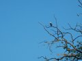 DSCN2167