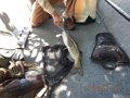 DSCN2178