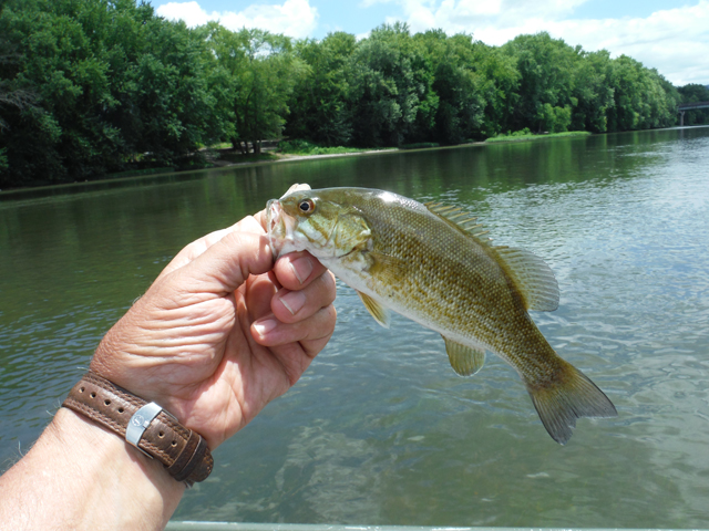 DSCF9422.jpg - I think I had a fish on each of the first three casts!