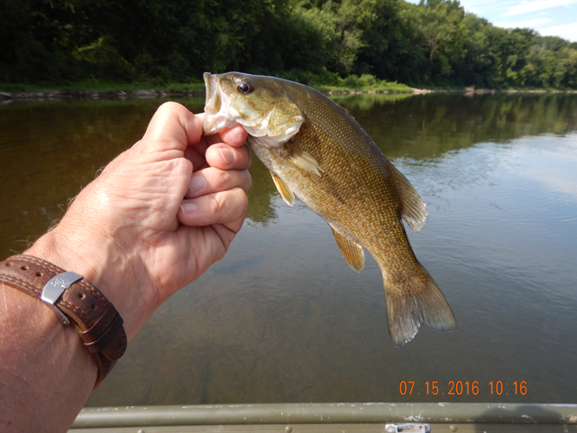 DSCN1519.jpg -    And, who am I to argue.  I'd rather catch fish than beat the water all day.                            