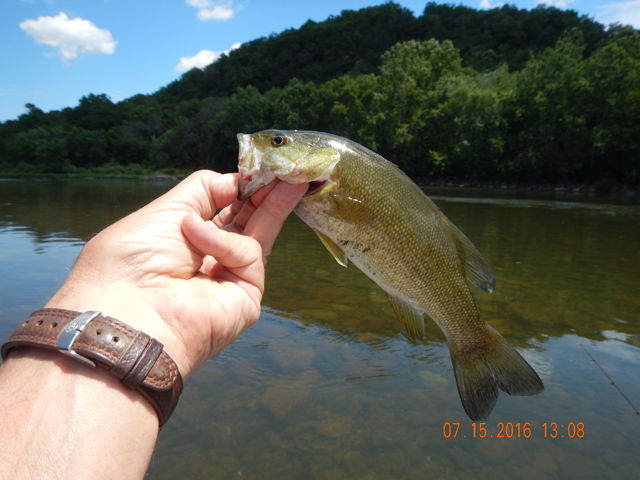 DSCN1531.jpg -                                