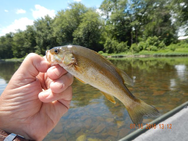 DSCN1532.jpg -                                