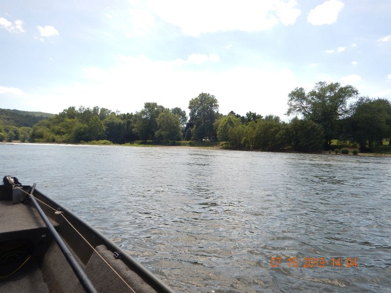 $Juniata4006$.jpg - This is the location where it was living.  Faster water...
