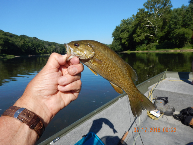 DSCN1550.jpg -                                Nice size, fun to catch.