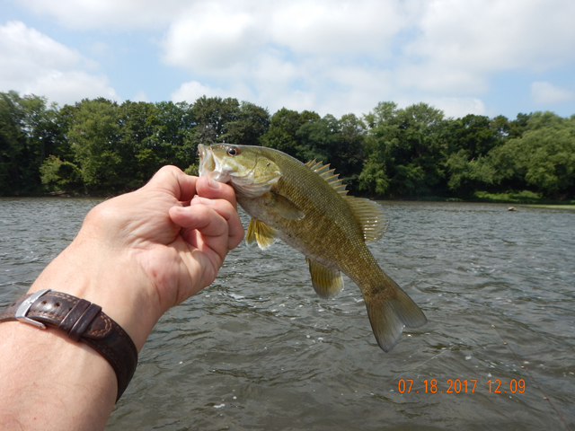 DSCN2189.jpg -                                And, happy to say, all the fish we caught were healthy.