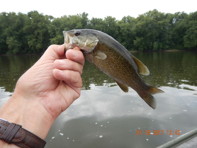 DSCN2197.jpg -                                I kept catching the smaller fish.  