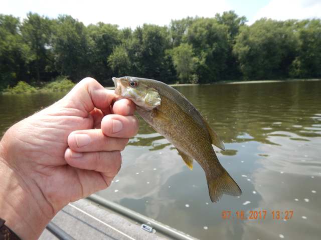 DSCN2203.jpg -                                And a few little guys that let us know that the fry from last year made it through in good shape.