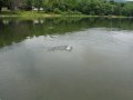 DSCF9456