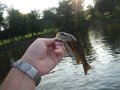 DSCN0415
