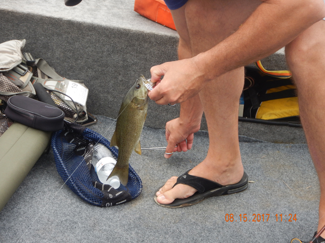 DSCN2317.jpg -                                Nice fish.