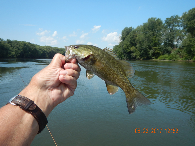 DSCN2363.jpg -                                I was catching too! Even with the dog in the boat, we did pretty well.