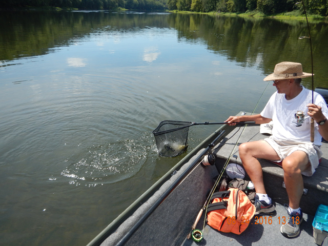 DSCN1645.jpg - We were having so many jump the hook, I used the net just to get a look at this fish.                               