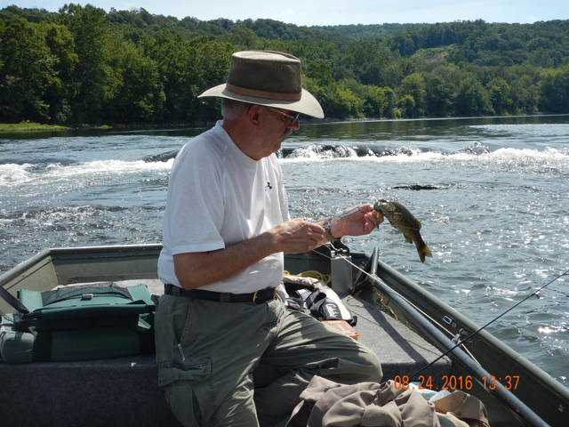 DSCN1652.jpg -                          They are small but certainly fun to catch.      