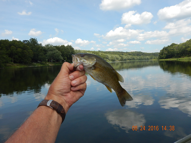 DSCN1655.jpg -          I was using a fly rod to catch the last couple.  Bouncing a crawdad fly on the bottom did the trick.                      