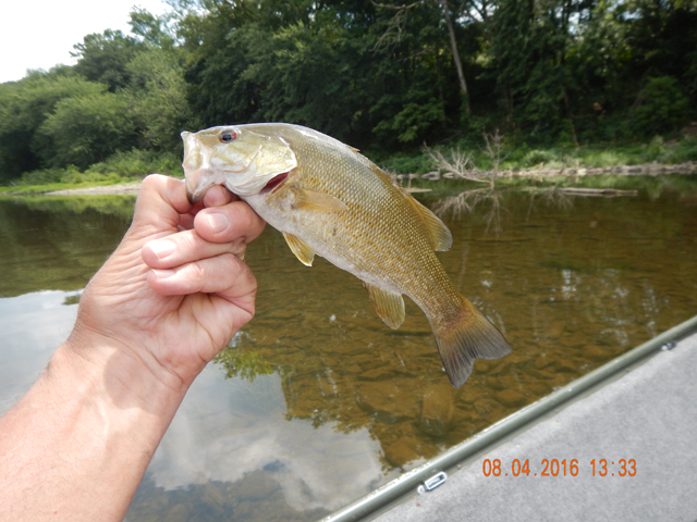 DSCN1591.jpg - But, I was satisfied to keep getting this size fish.                               