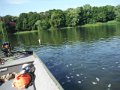 DSCF9490