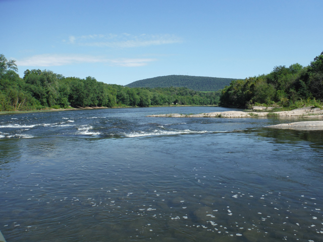 DSCF0247.jpg